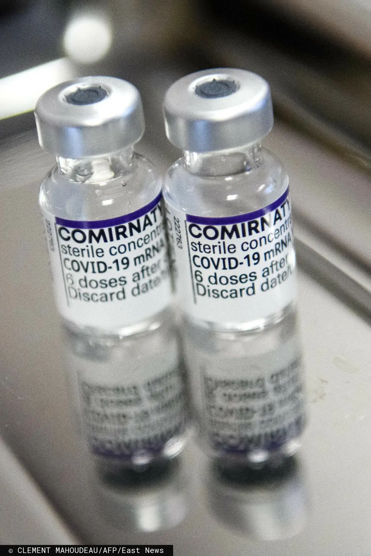 fiołka ze szczepionką Pfizer przeciwko Covid-19