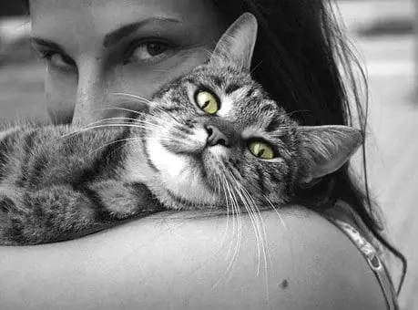Kobieta trzyma kota na ramionach - działania PETA