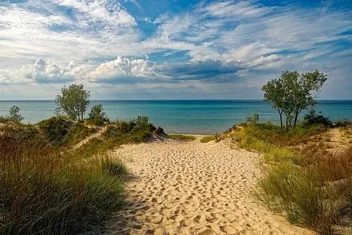 Plaża, wydmy, drzewa, a tle błękitne niebo