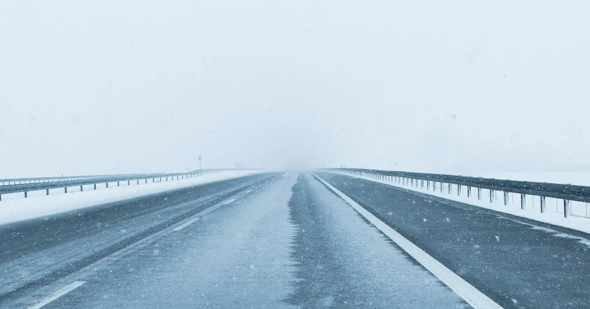 Główne zdjęcie - Dwa martwe ciała przy autostradzie w województwie śląskim. Mężczyźni byli poszukiwani!