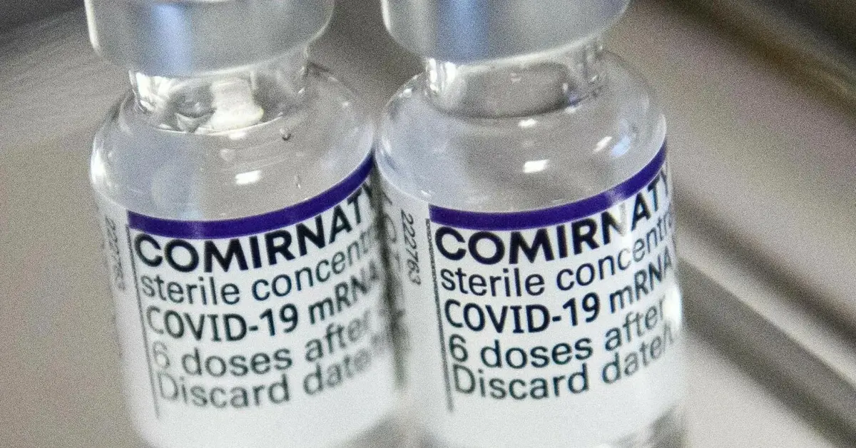 fiołka ze szczepionką Pfizer przeciwko Covid-19