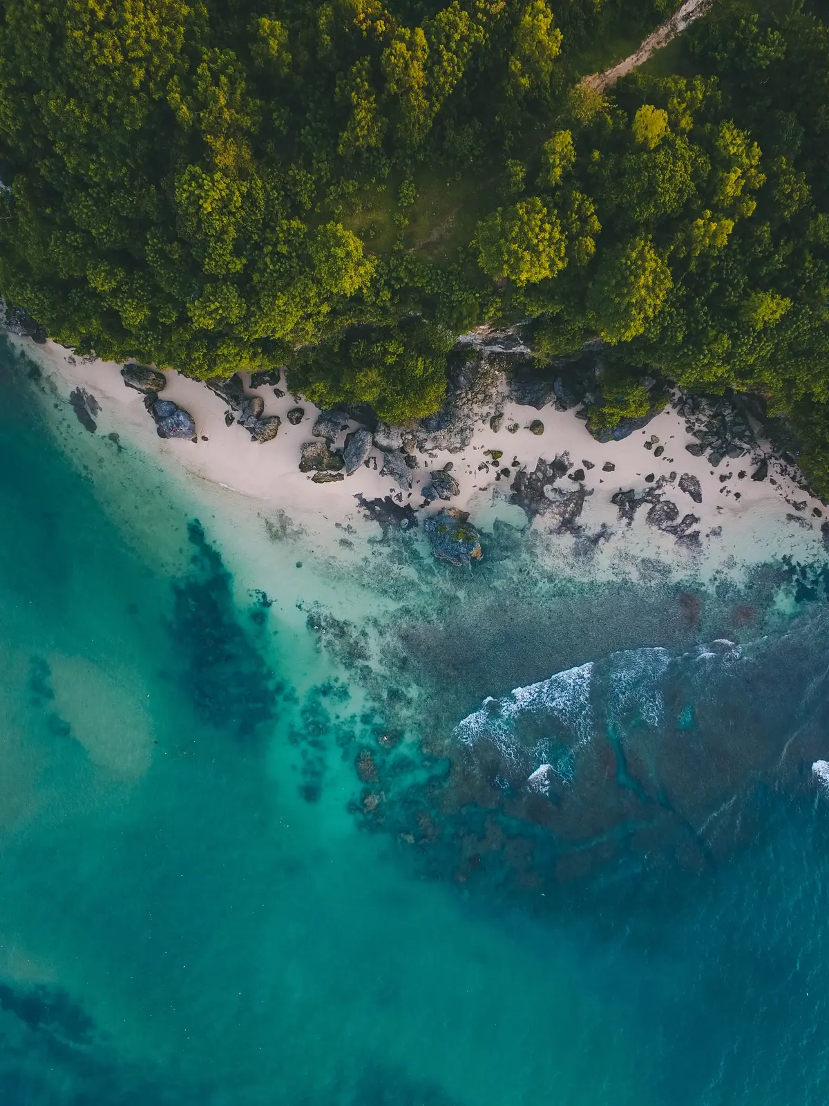 Fale oceanu rozbijają się o brzeg