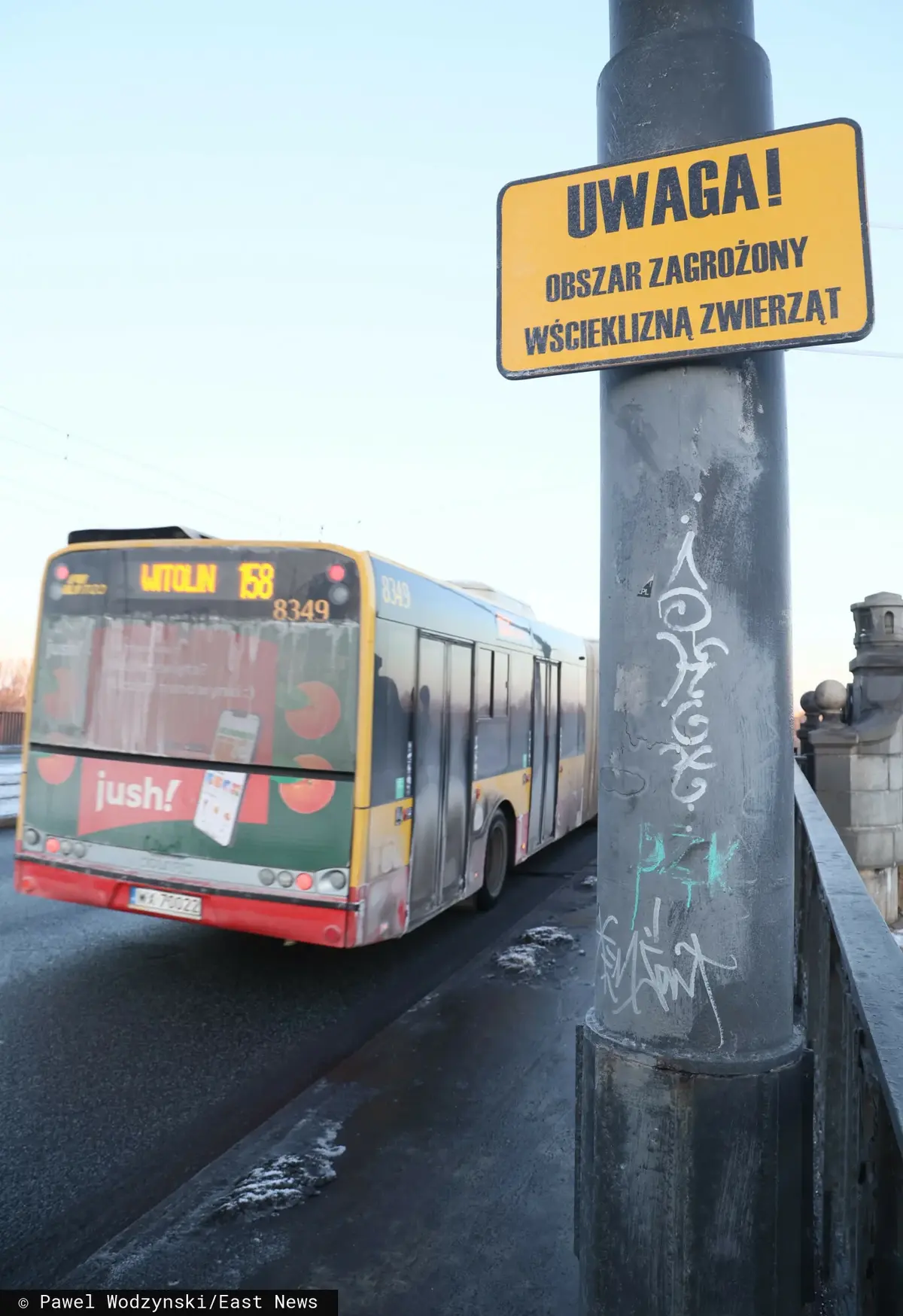 Tabliczka z napisem - obszar zagrożony wścieklizną