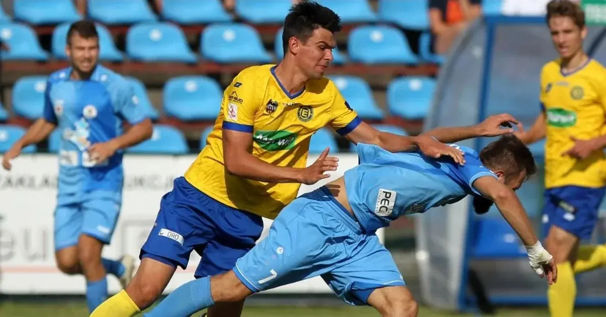 Piłkarze walczący o piłkę.