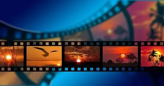 Taśmy filmowe z obrazami ptaków, przyrody, zachodów słońca - Berlinale 