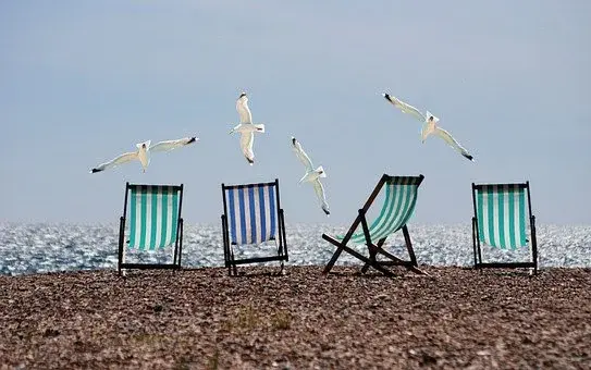 Cztery leżaki na plaży, a w tle niebo i latające mewy