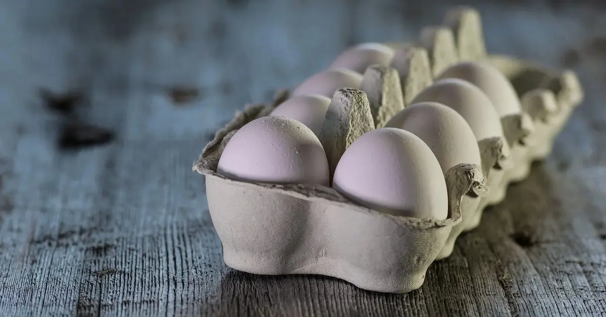 Białe jajka w opakowaniu 