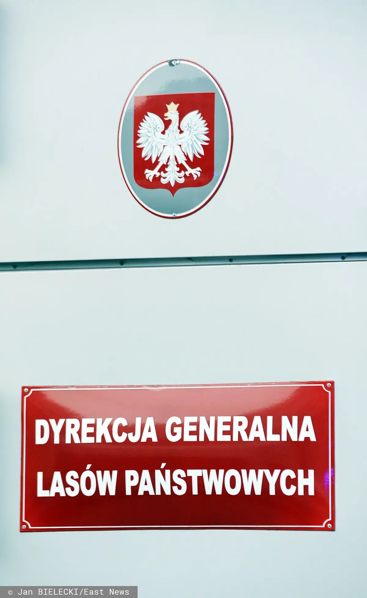 Czerwone oznaczenie Dyrekcji Generalnej Lasów Państwowych w Siedzibie Lasów Państwowych w Warszawie umieszczone pod godłem RP