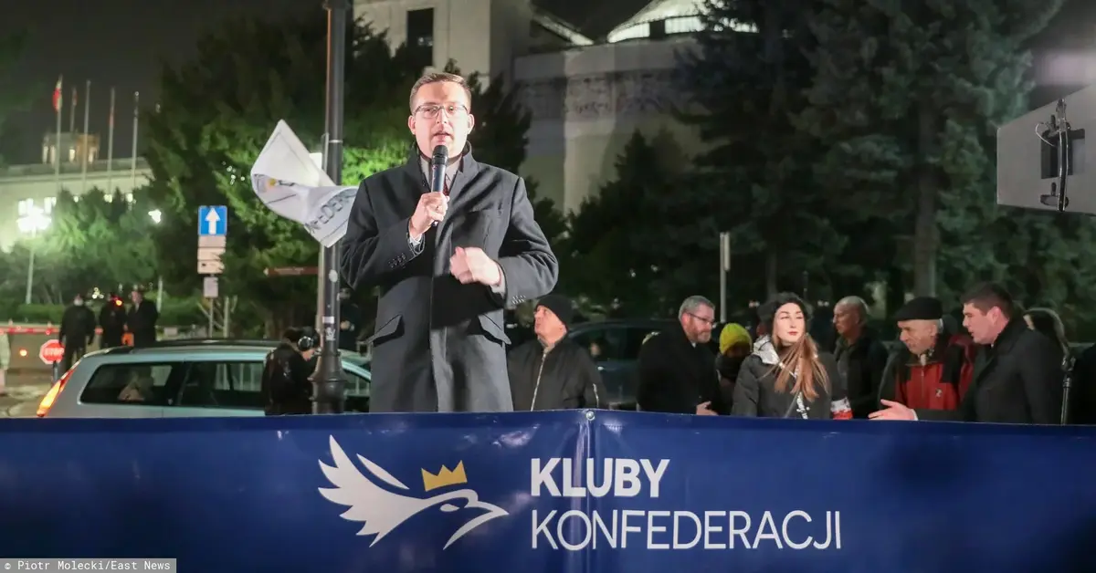 Główne zdjęcie - Protest Konfederacji przed Sejmem. Muzeum Auschwitz oburzone!