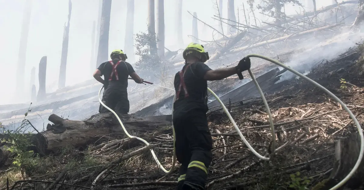Główne zdjęcie - Wielkie pożary w Czechach. Polscy strażacy ruszyli z pomocą