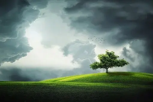 Burza na niebie, widoczne drzewo