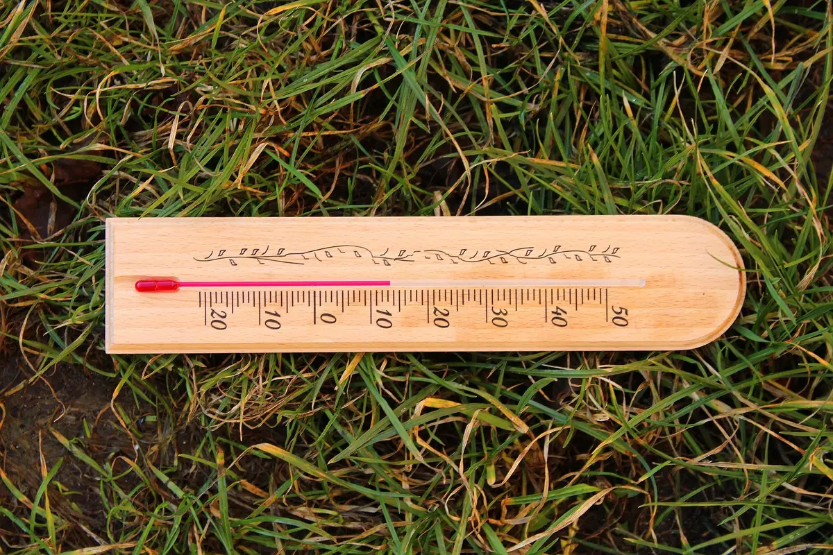 termometr leżący na trawie 