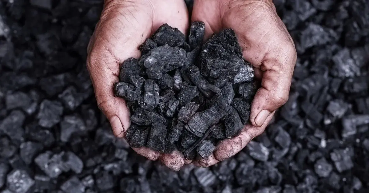 Węgiel kamienny i brunatny są wydobywane w Polsce